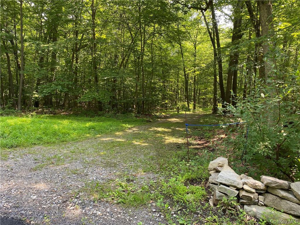 554 & 545 E Mountain Road Property Photo 2