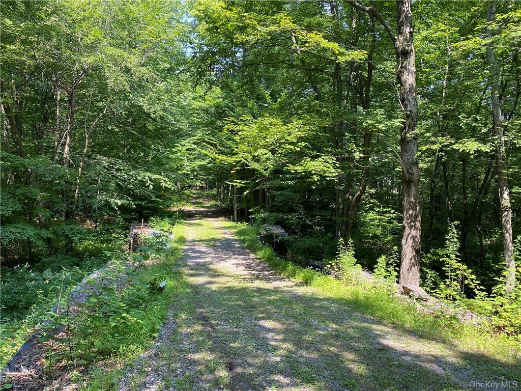 554 & 545 E Mountain Road Property Photo 5