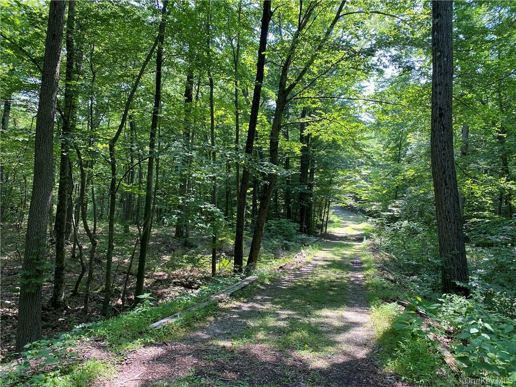 554 & 545 E Mountain Road Property Photo 6