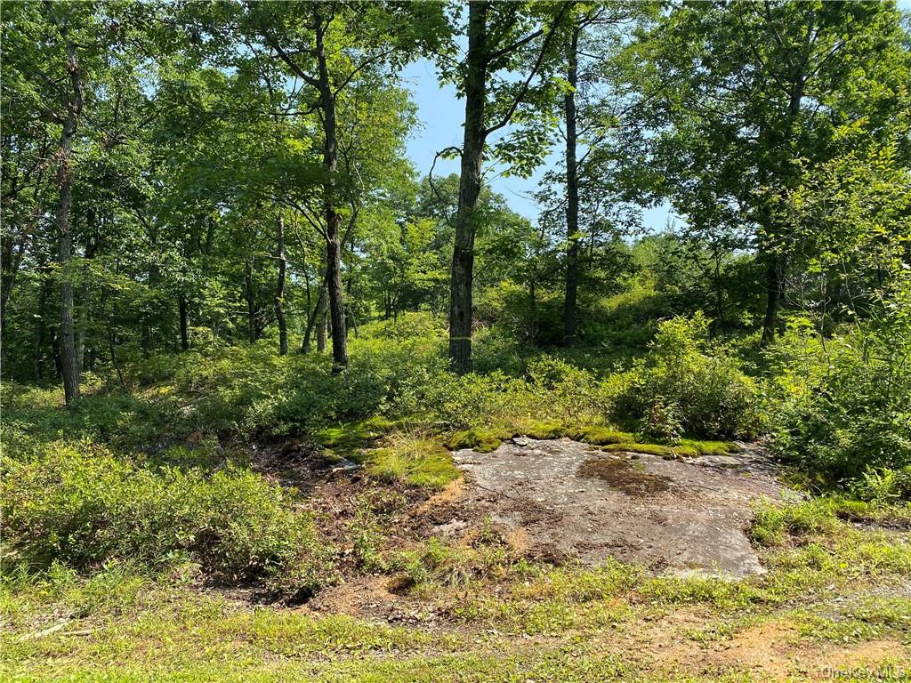 554 & 545 E Mountain Road Property Photo 7