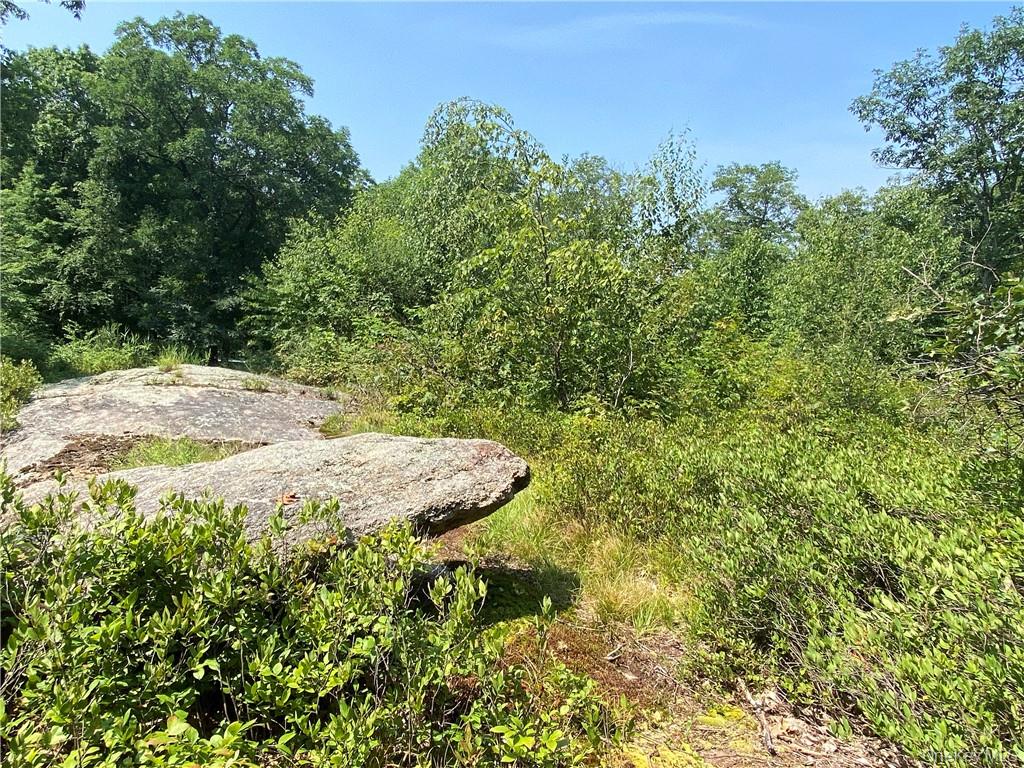 554 & 545 E Mountain Road Property Photo 9