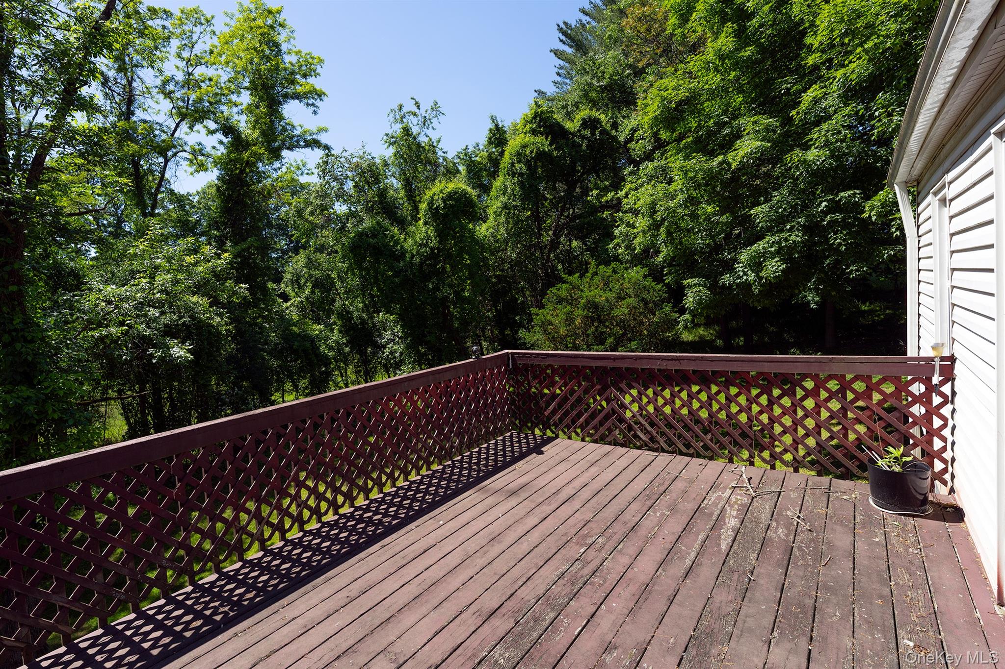 81 Hempstead Road Property Photo 12