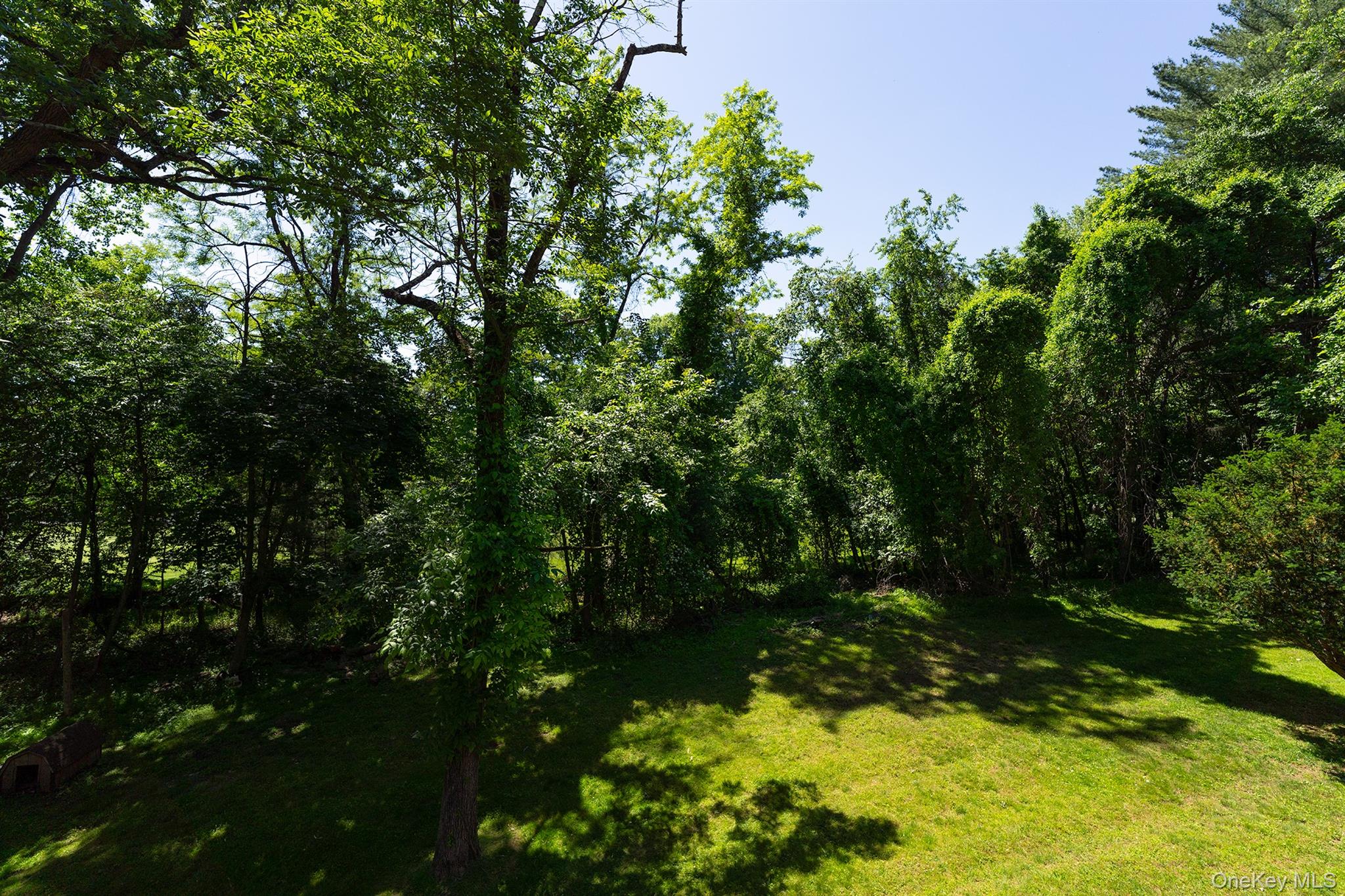 81 Hempstead Road Property Photo 13