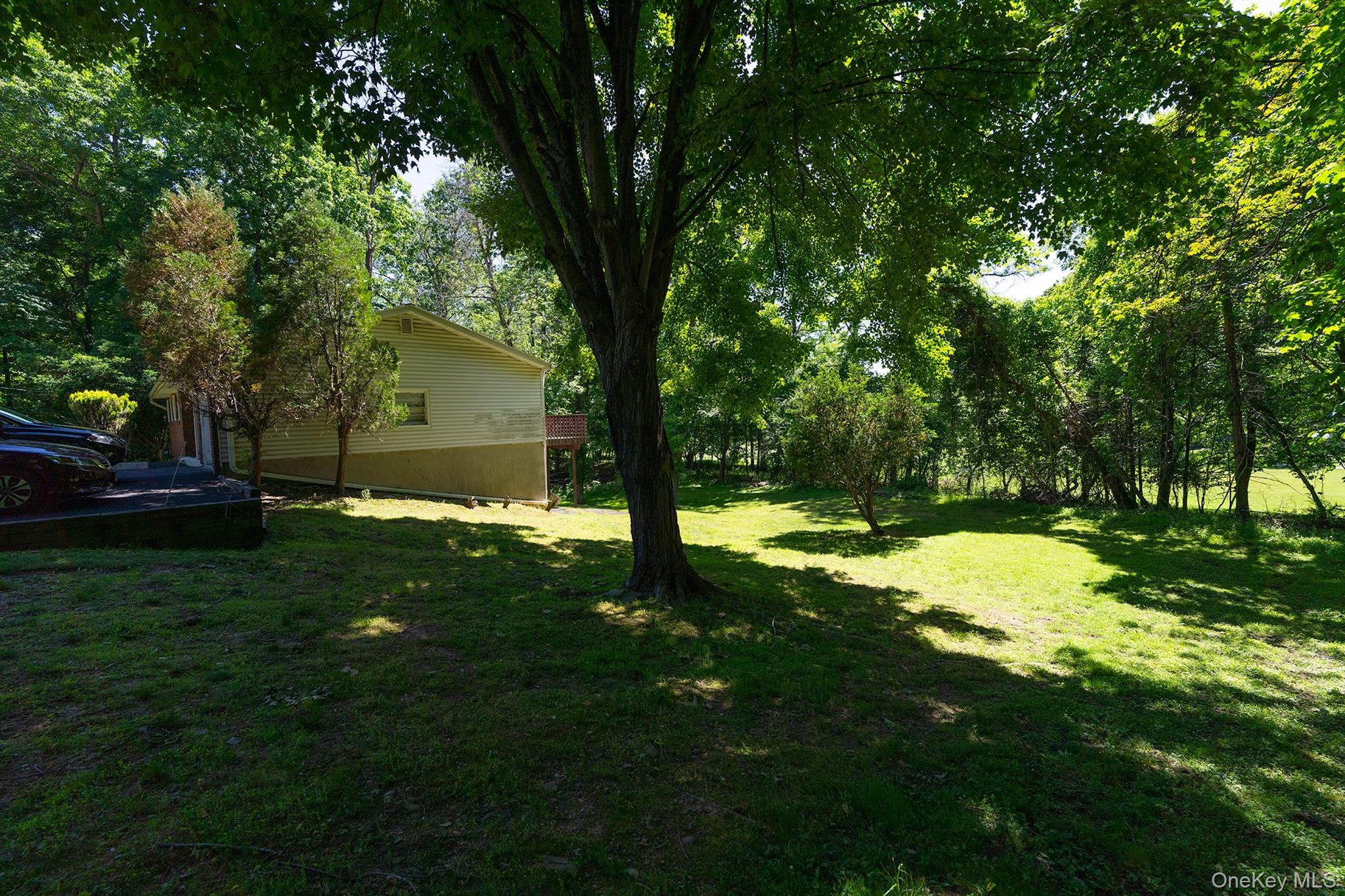 81 Hempstead Road Property Photo 19