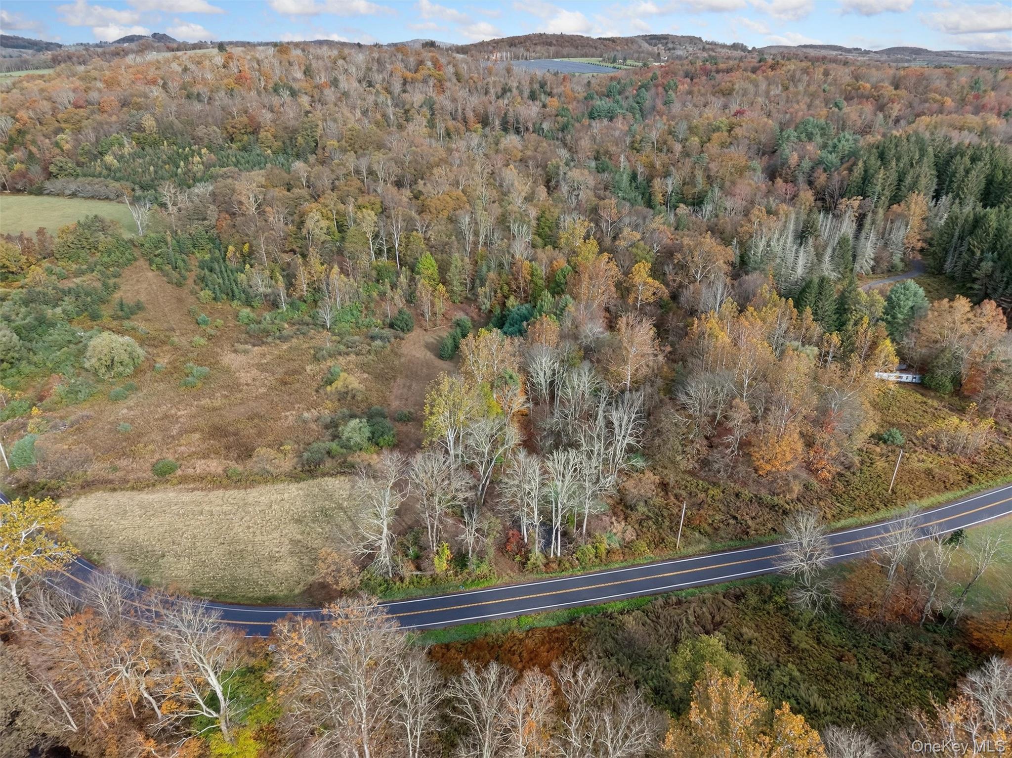 22 State Route 52a Property Photo 5