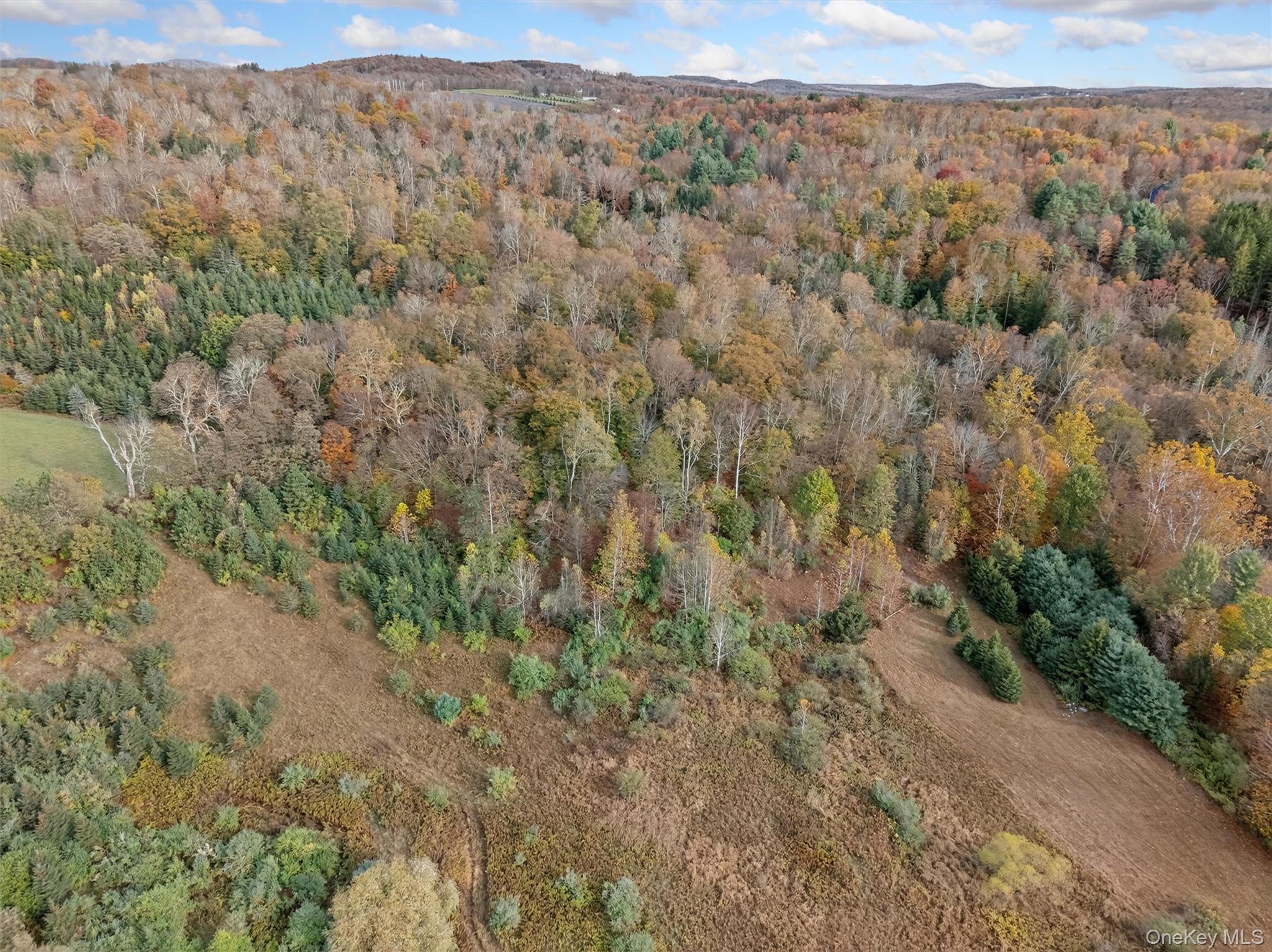 22 State Route 52a Property Photo 6