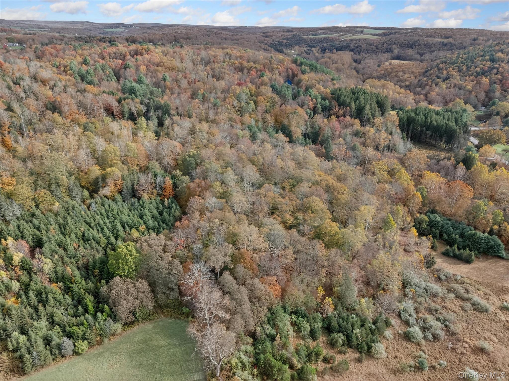 22 State Route 52a Property Photo 7