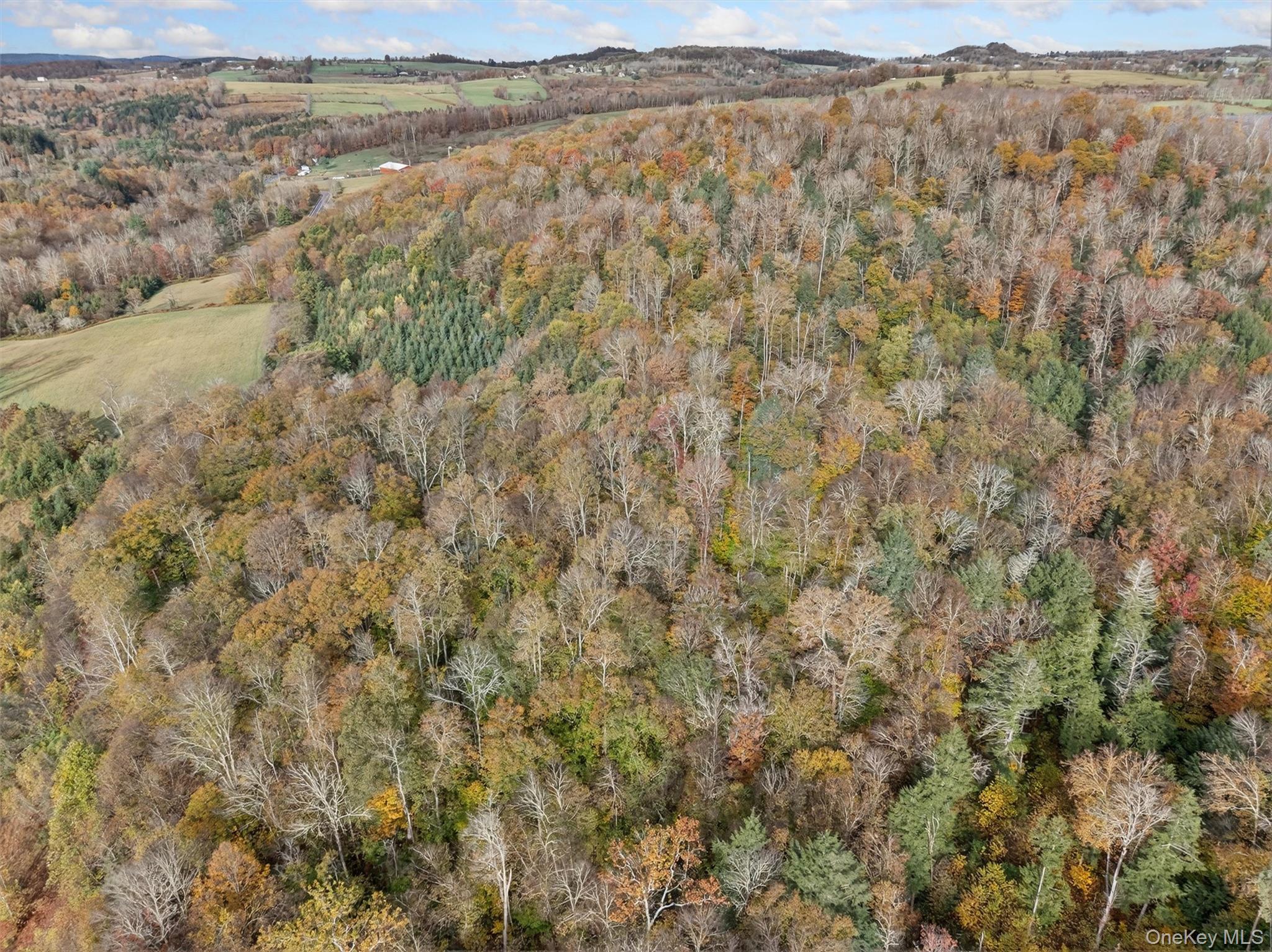22 State Route 52a Property Photo 12
