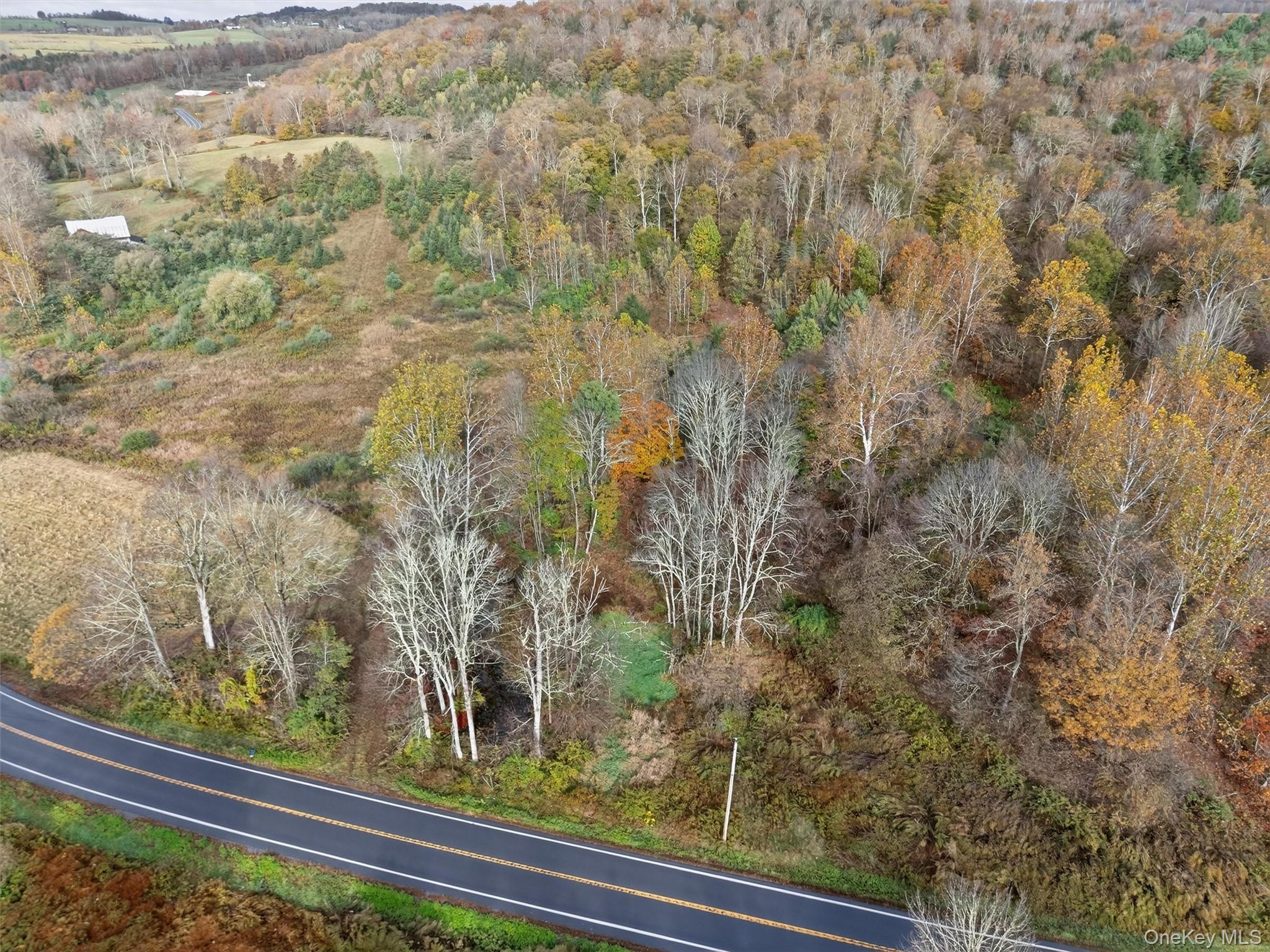 22 State Route 52a Property Photo 17