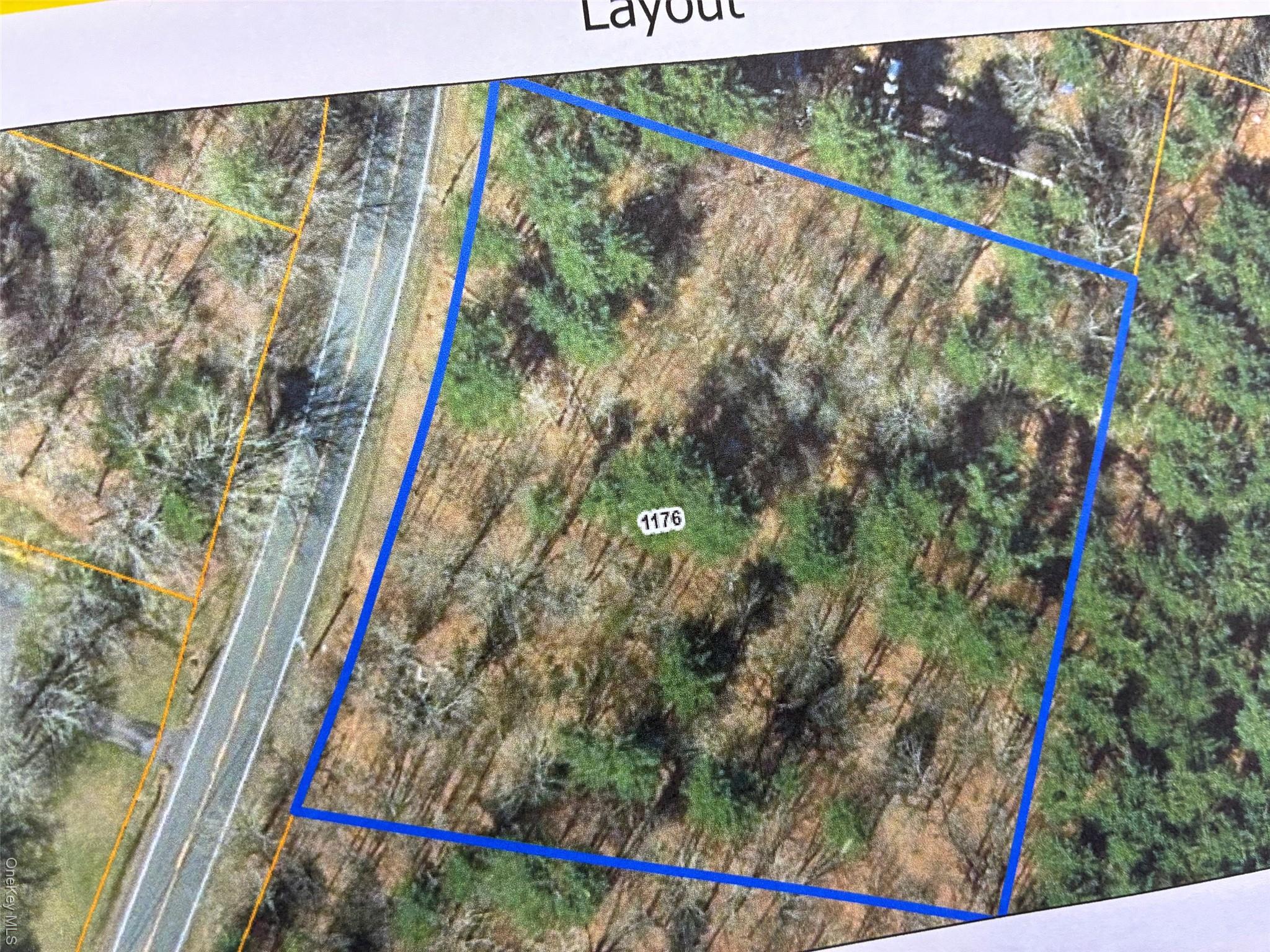 1176 Us Route 209 Property Photo 1