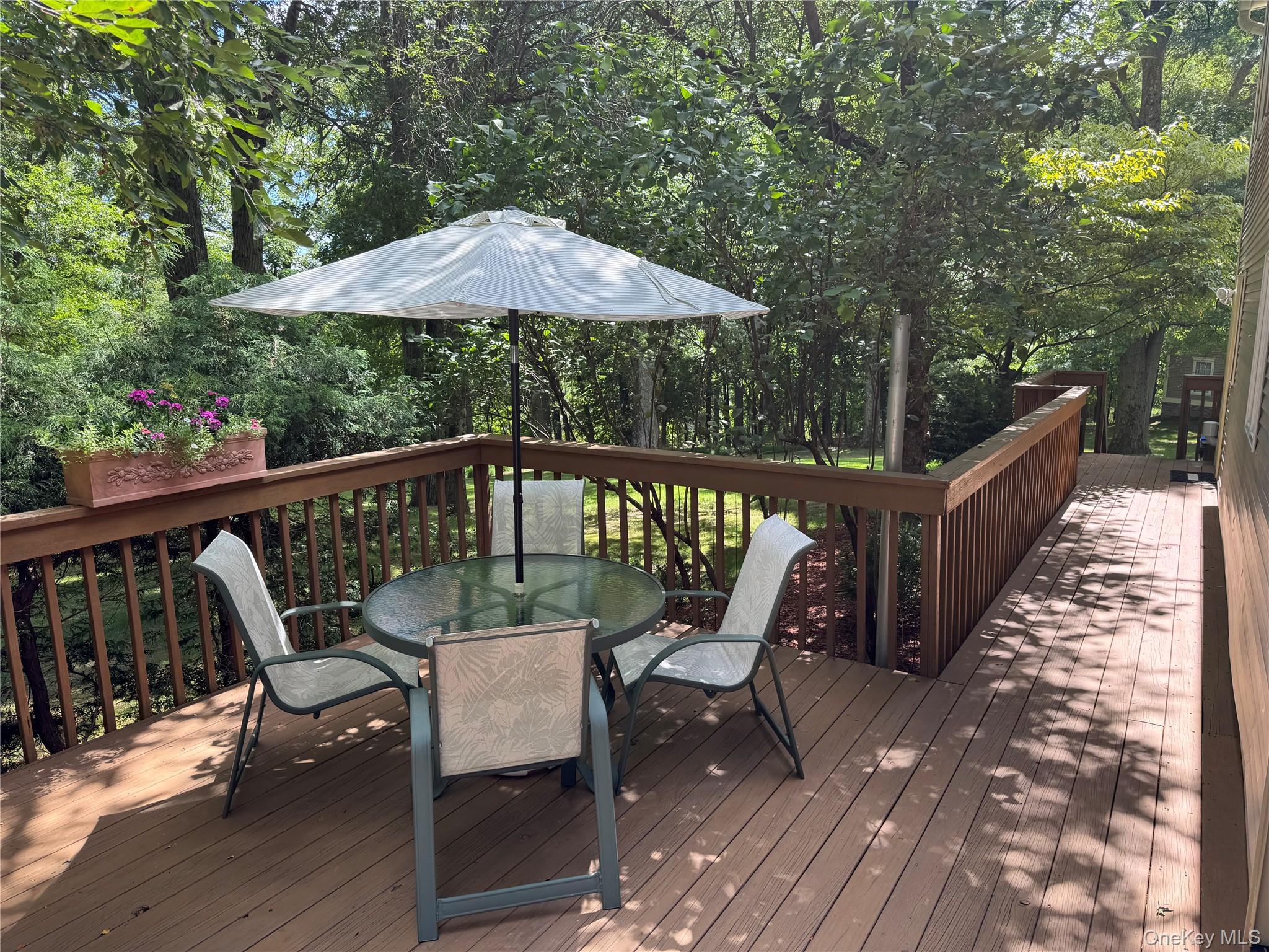 107 Moffat Road Property Photo 24