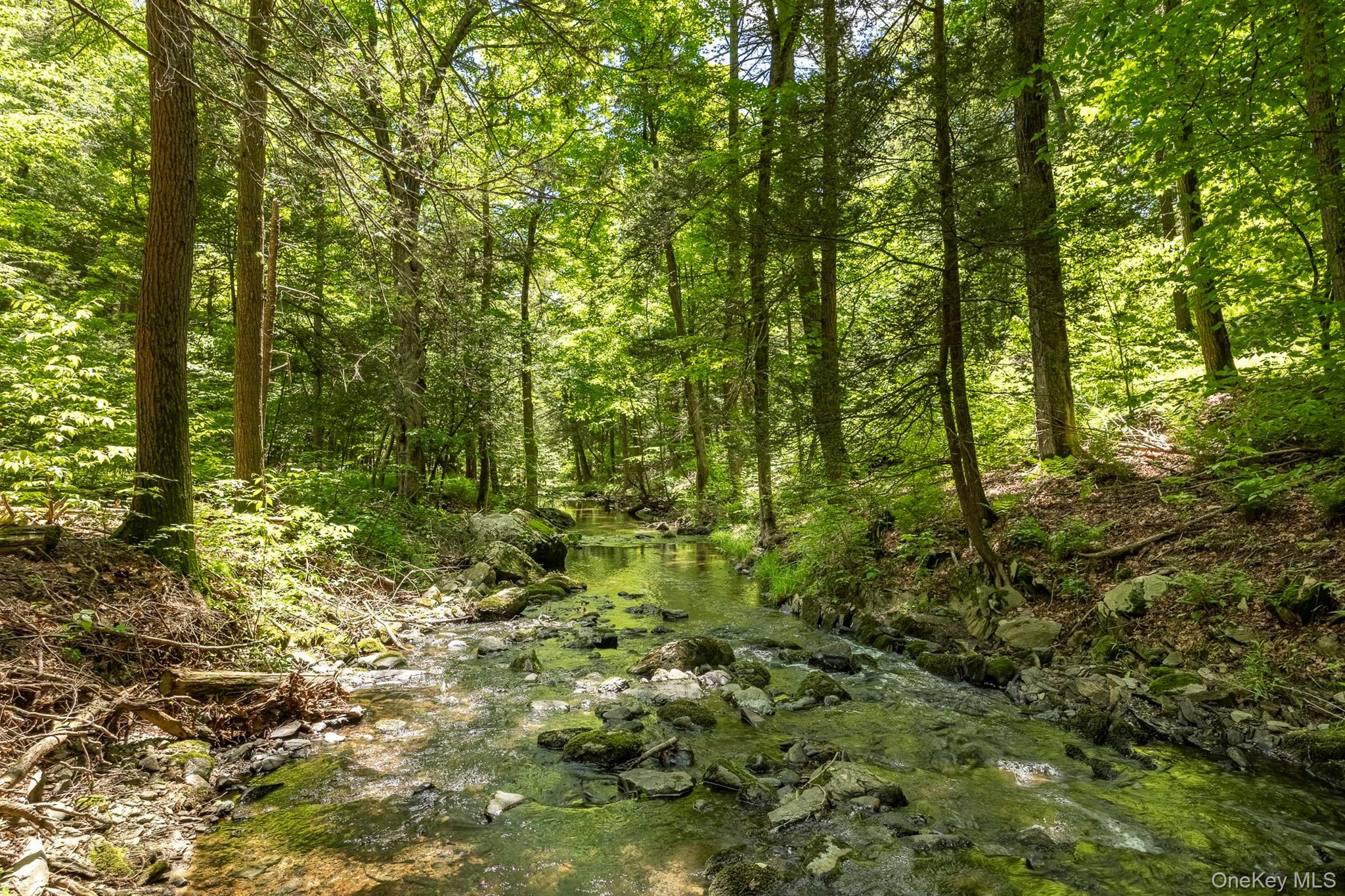 82 Near Road Property Photo 21