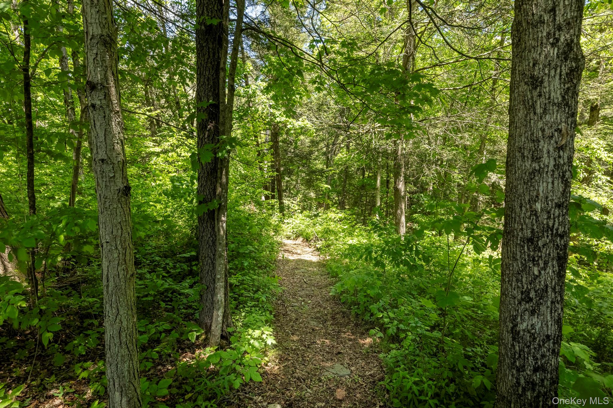 82 Near Road Property Photo 22