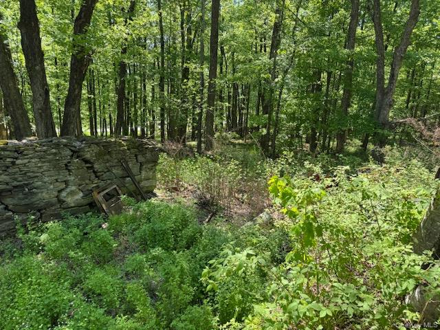 00 Polster Property Photo 1
