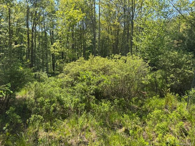 00 Polster Property Photo 8