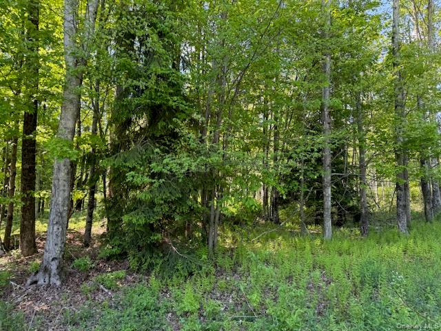 00 Polster Property Photo 11