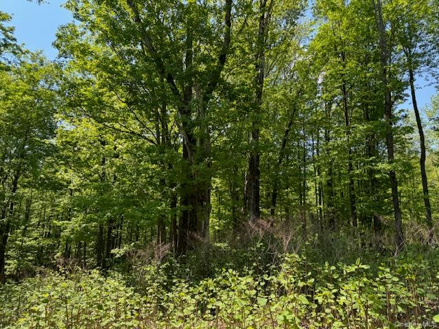 00 Polster Property Photo 13