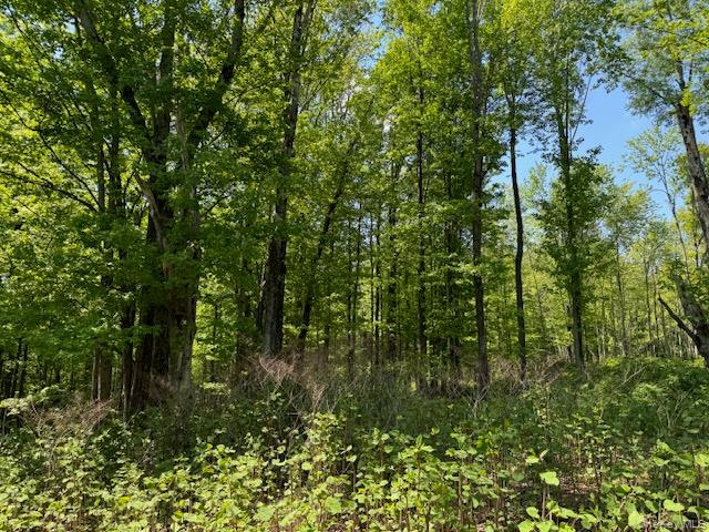 00 Polster Property Photo 14