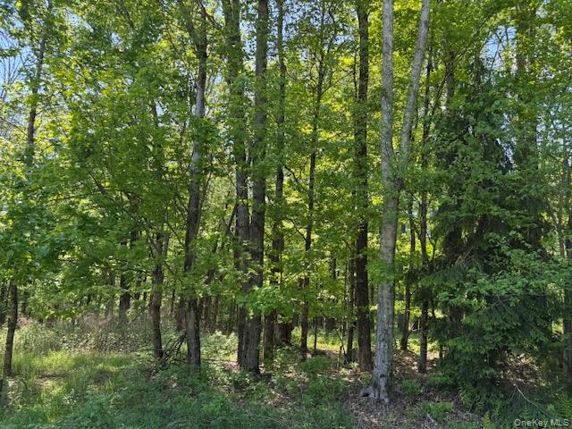 00 Polster Property Photo 15