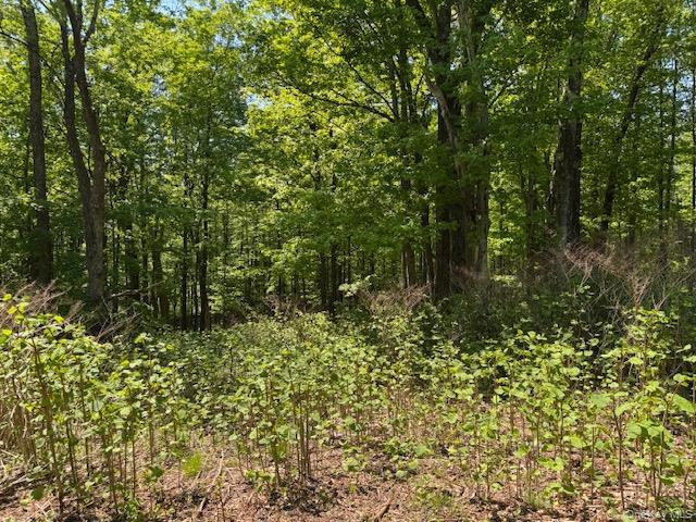 00 Polster Property Photo 17
