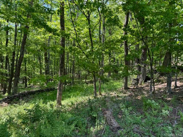 00 Polster Property Photo 18