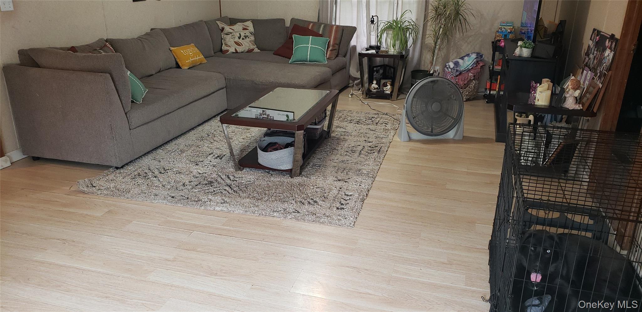168 Harris Road Property Photo 4