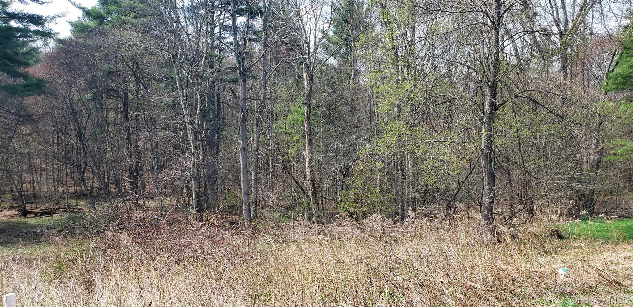 168 Harris Road Property Photo 20