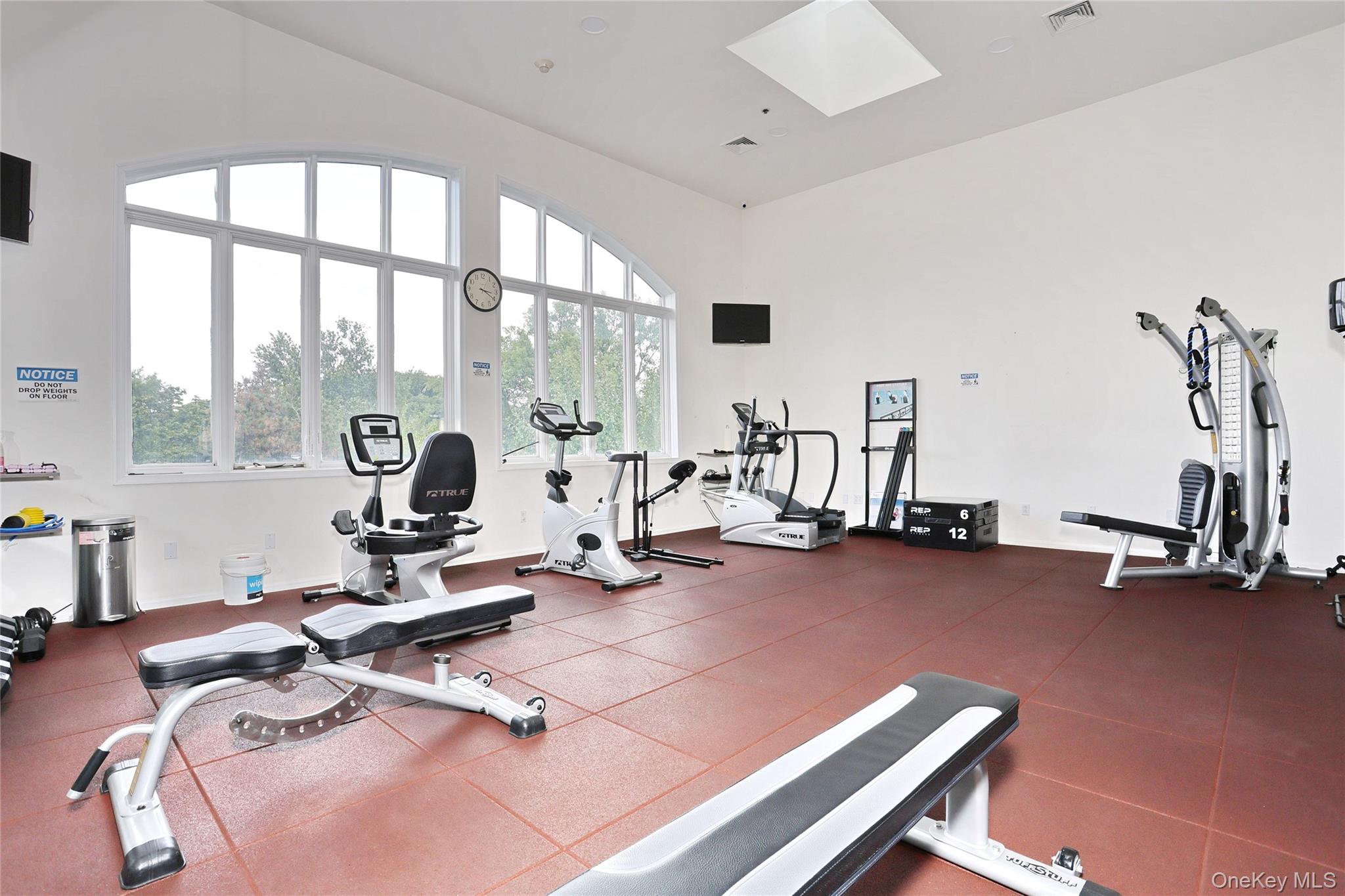 33 Gair Street Property Photo 28