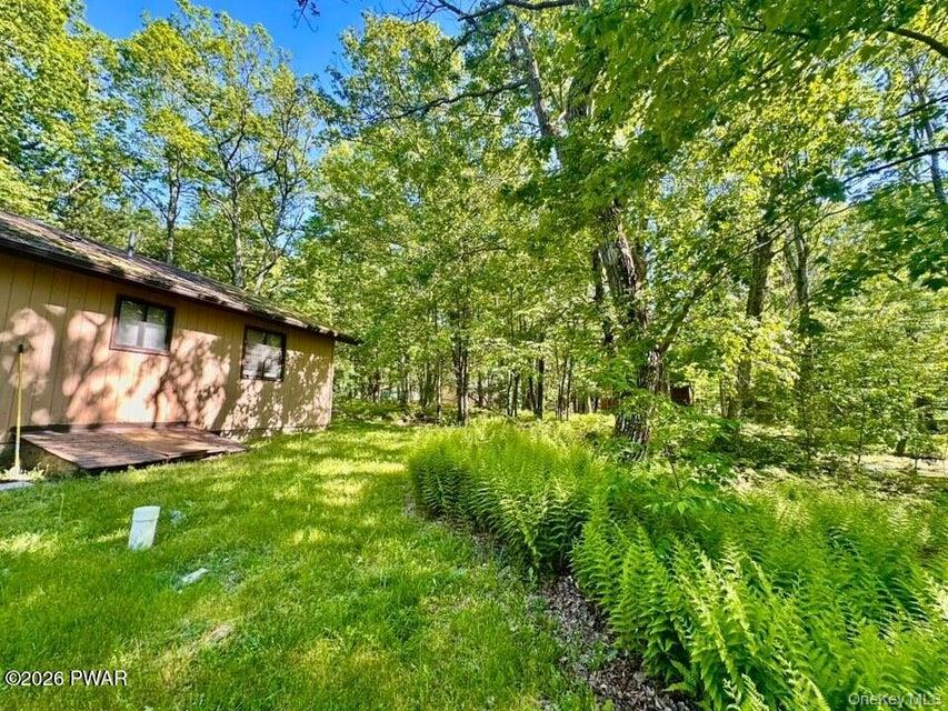 107 Fetlock Drive Property Photo 3
