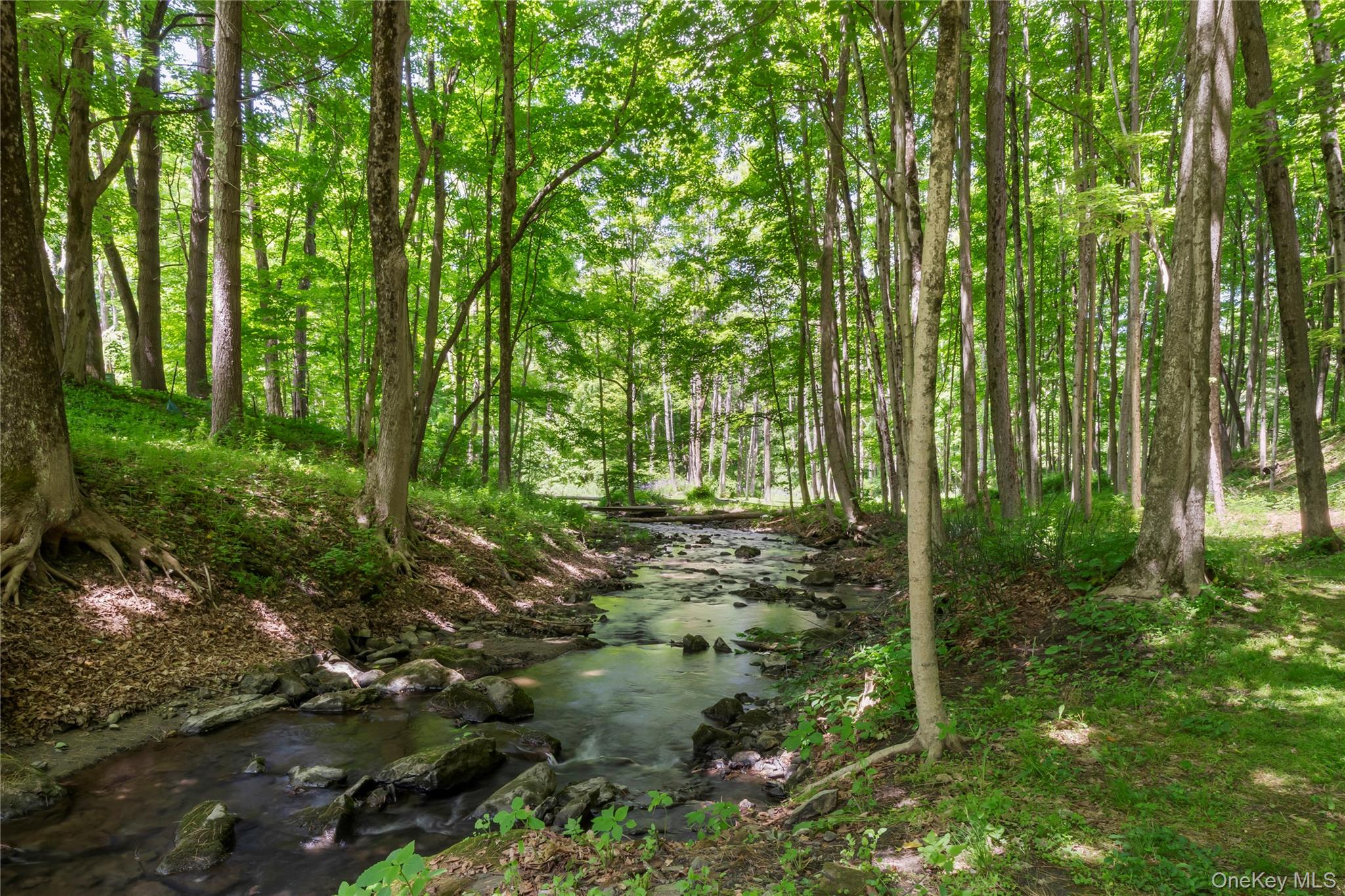 2955 State Route 23 Property Photo 44