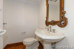100 Cuttermill Road 4v Property Photo 7