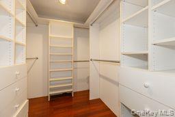 100 Cuttermill Road 4v Property Photo 16
