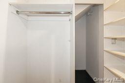 100 Cuttermill Road 4v Property Photo 22
