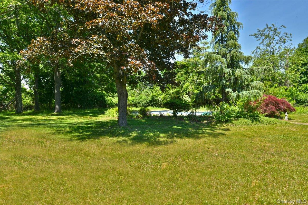 44 Peppermint Road Property Photo 32