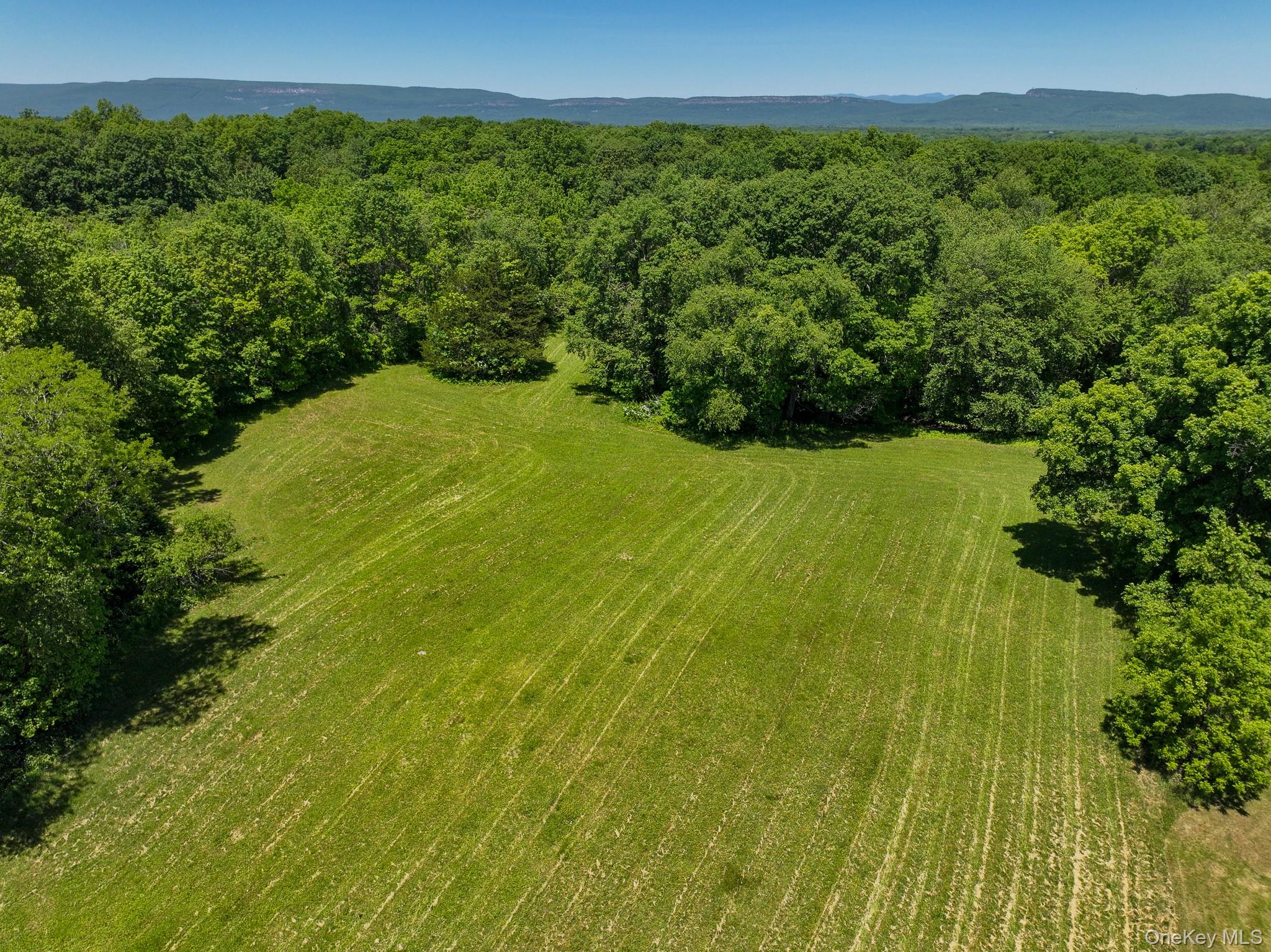 1771 44 55 Property Photo 8