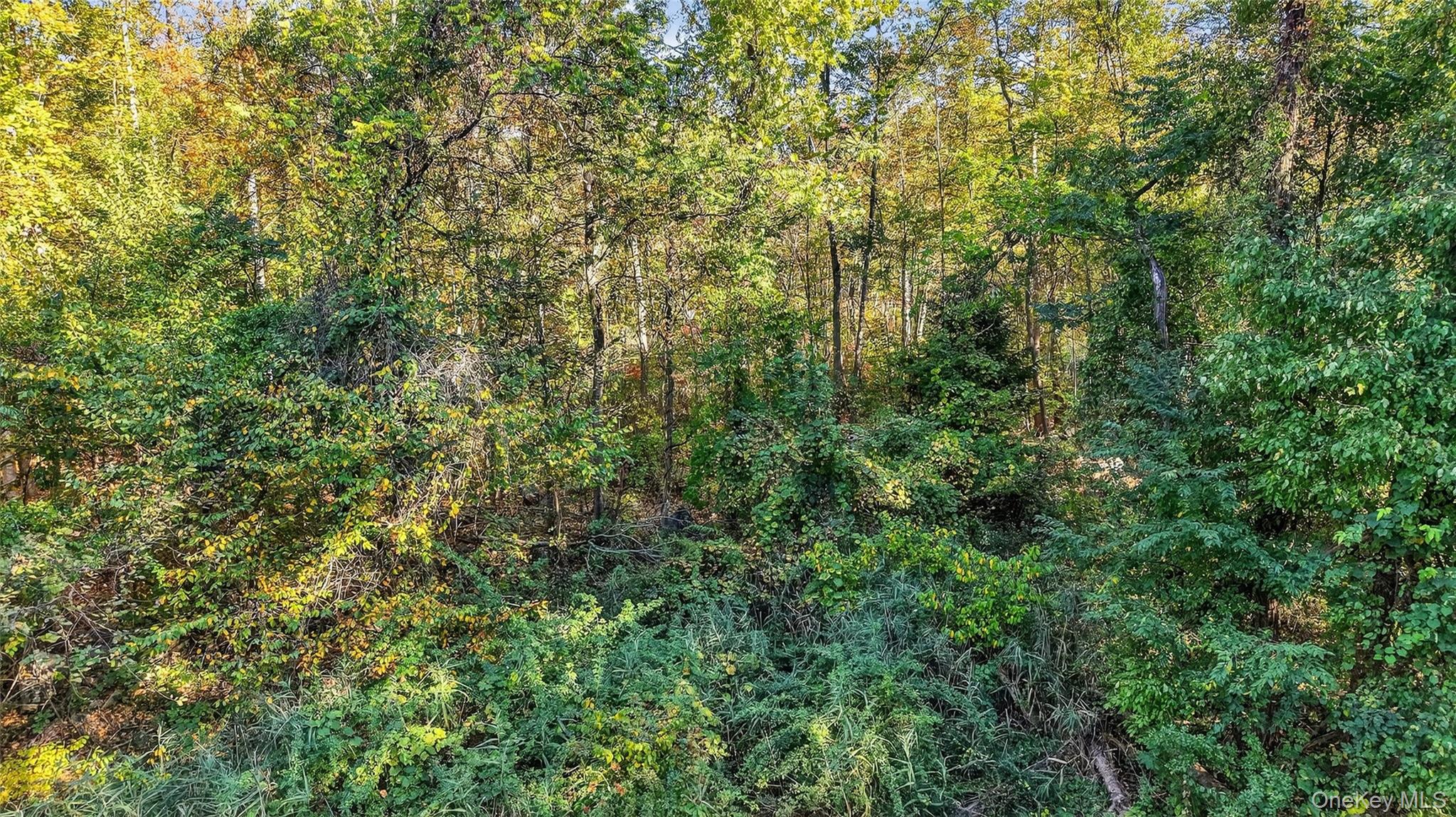 50 Winston Lane Property Photo 15