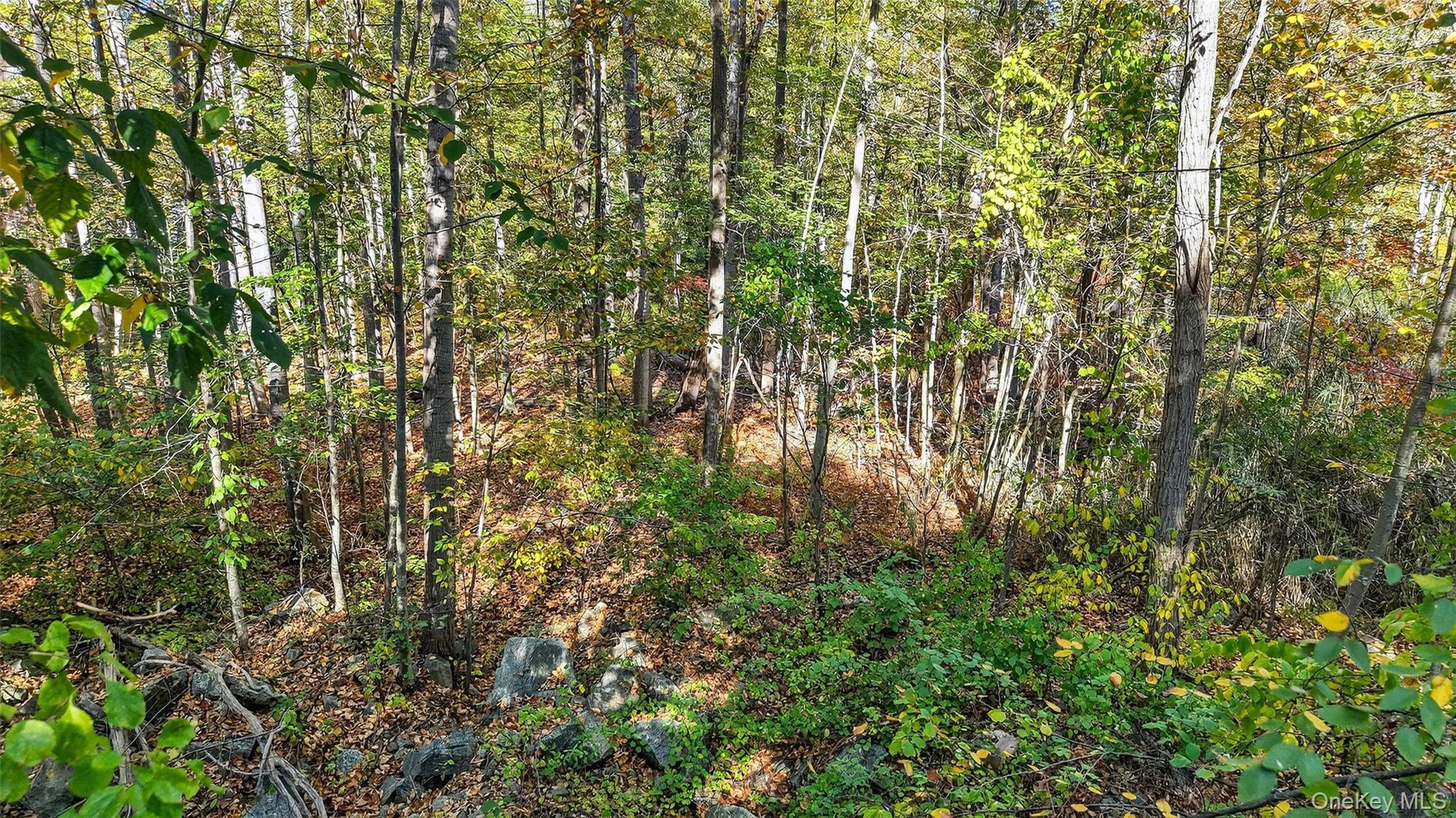 50 Winston Lane Property Photo 16