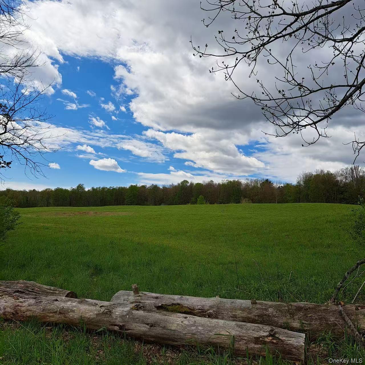 10755 Nys Route 13 Property Photo 1