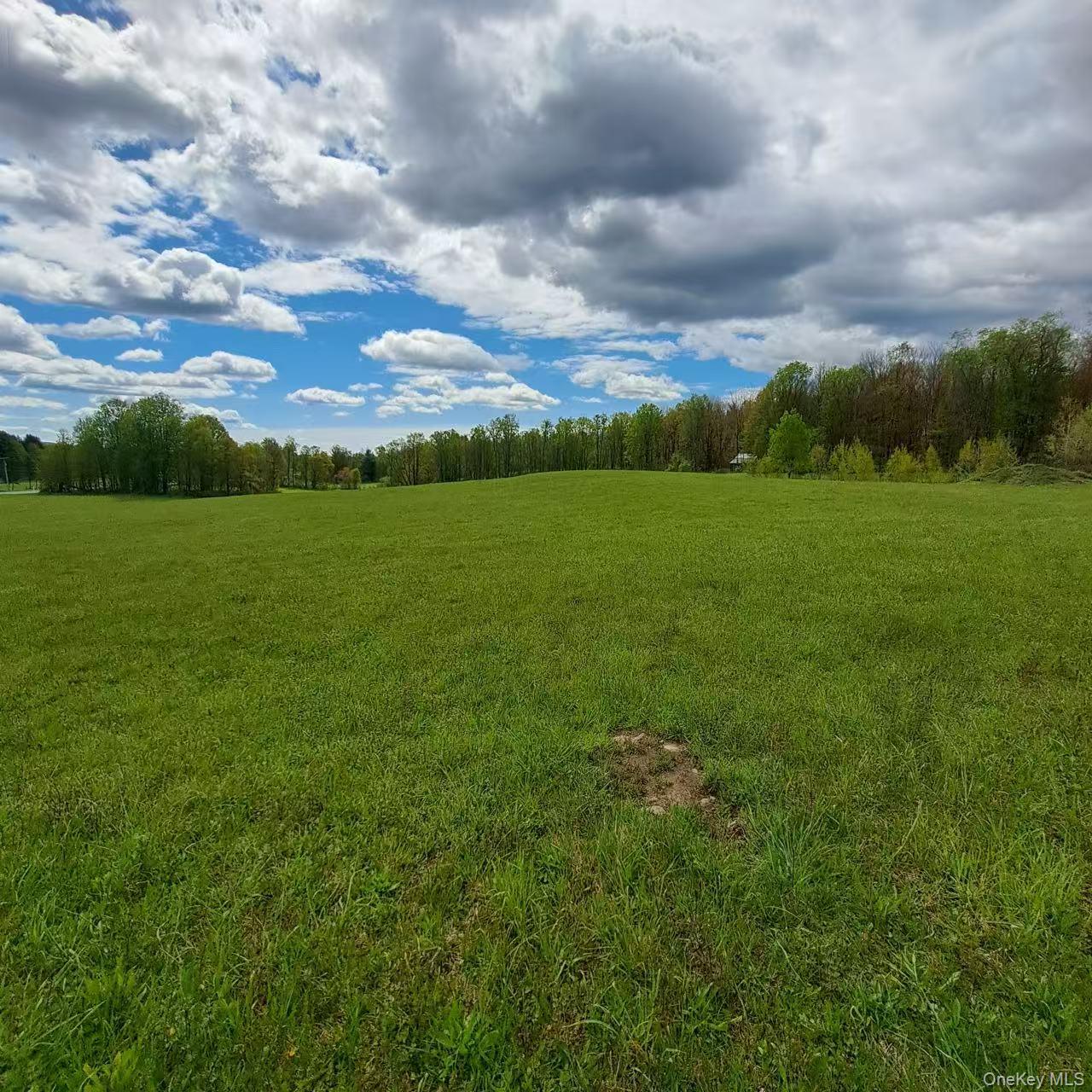 10755 Nys Route 13 Property Photo 2