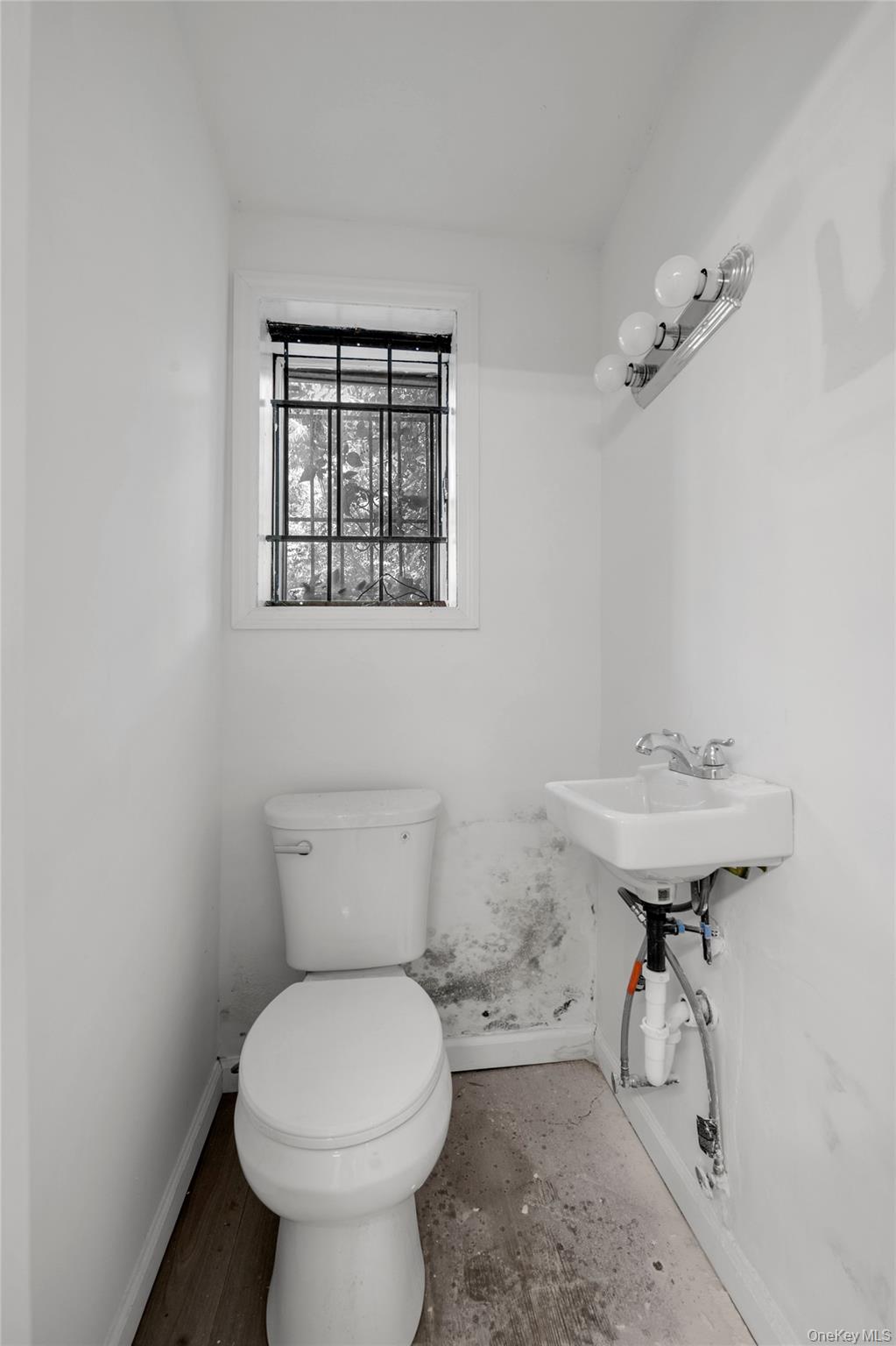 67-05 Roosevelt Avenue Property Photo 13