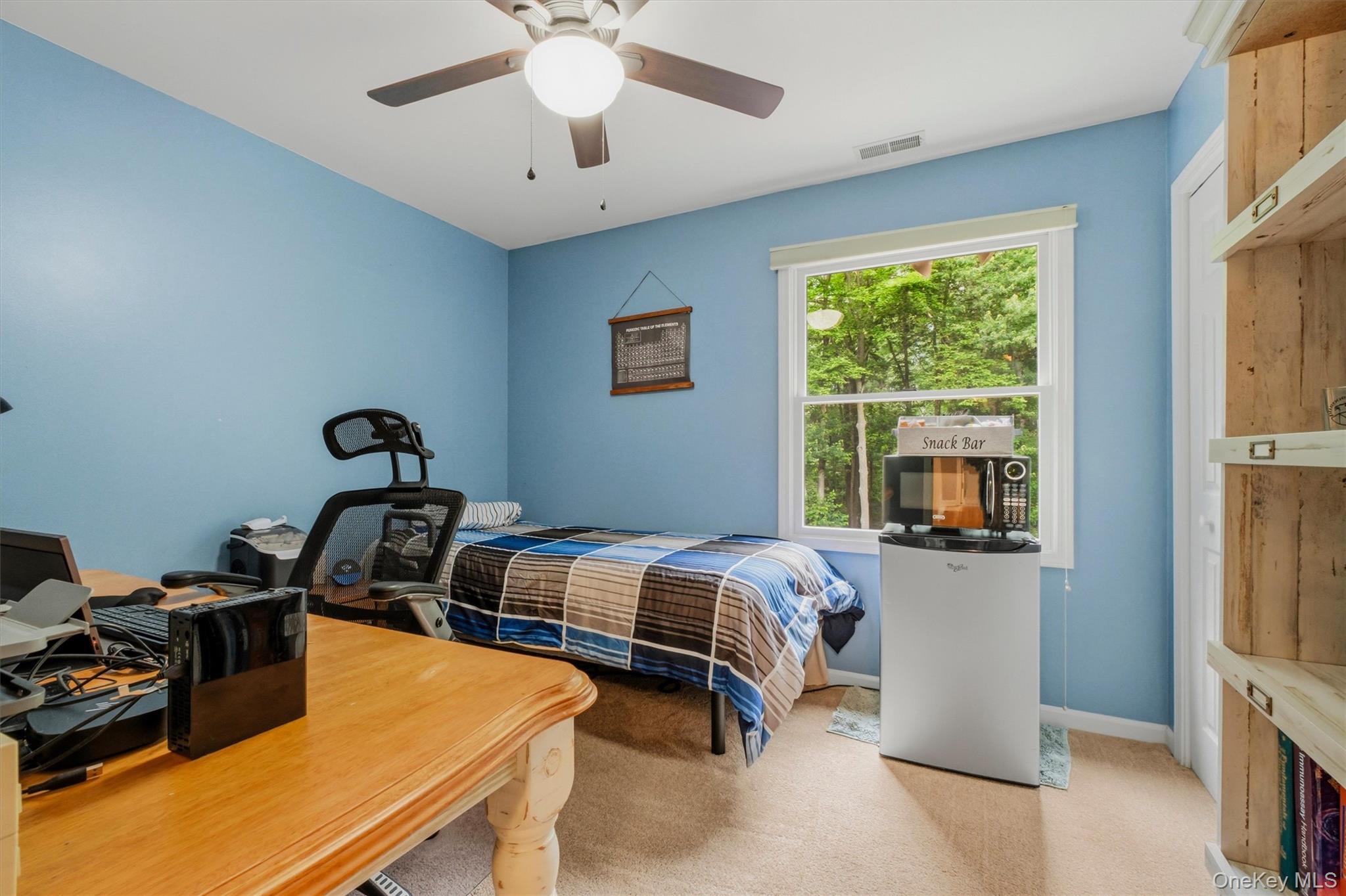 7 Mccann Drive Property Photo 29