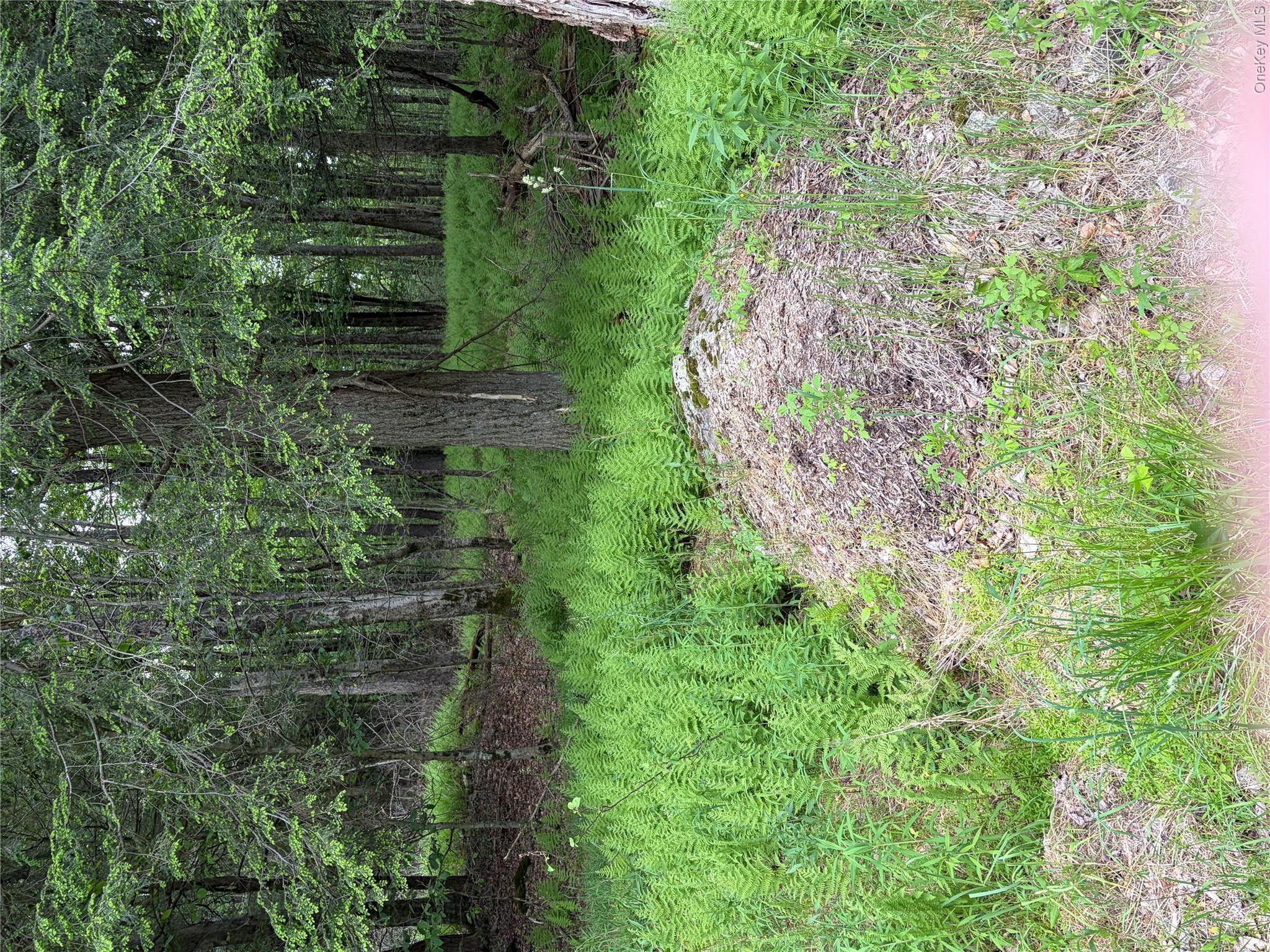 Creamery Creamery Road Property Photo 1
