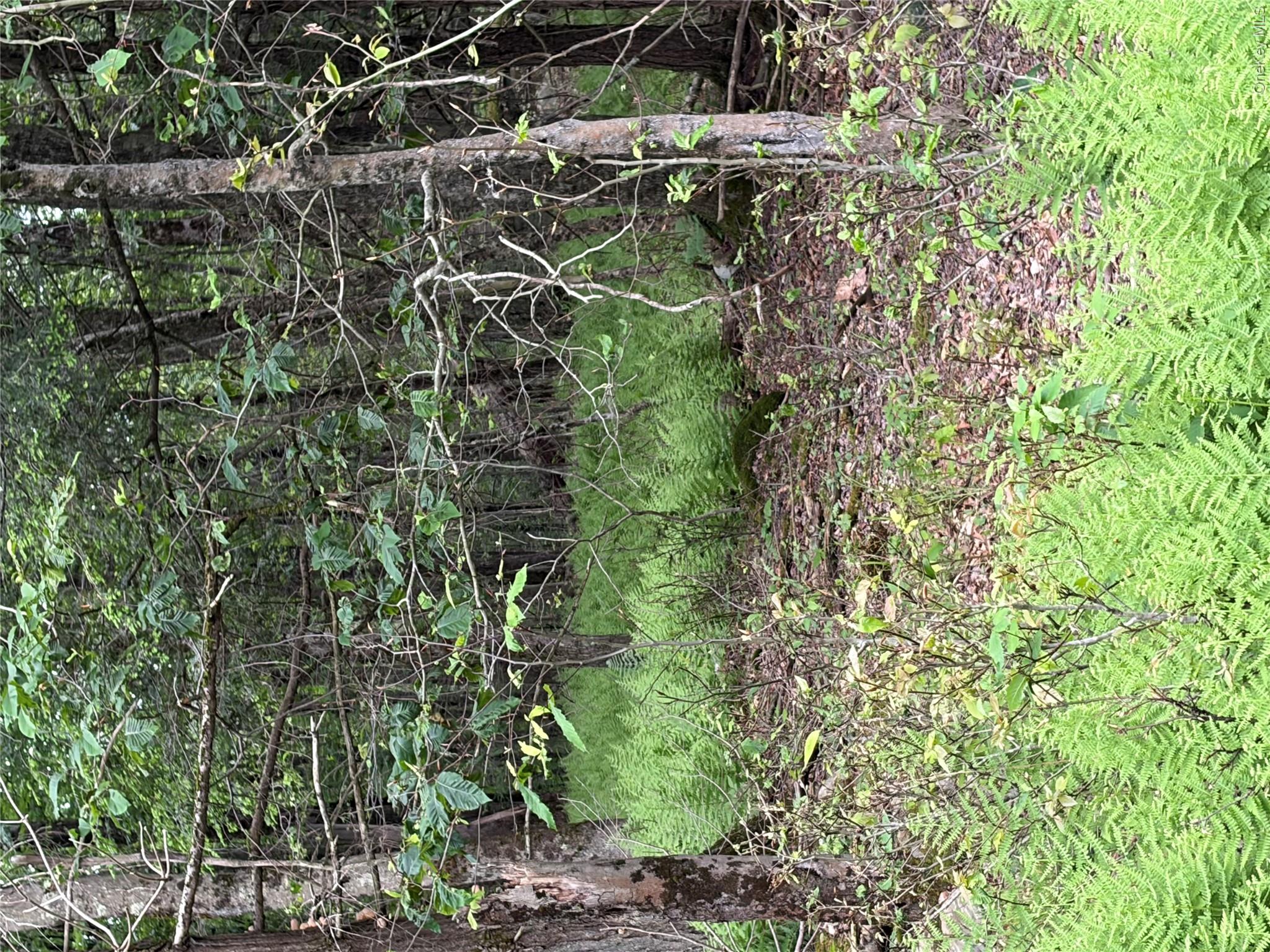 Creamery Creamery Road Property Photo 3