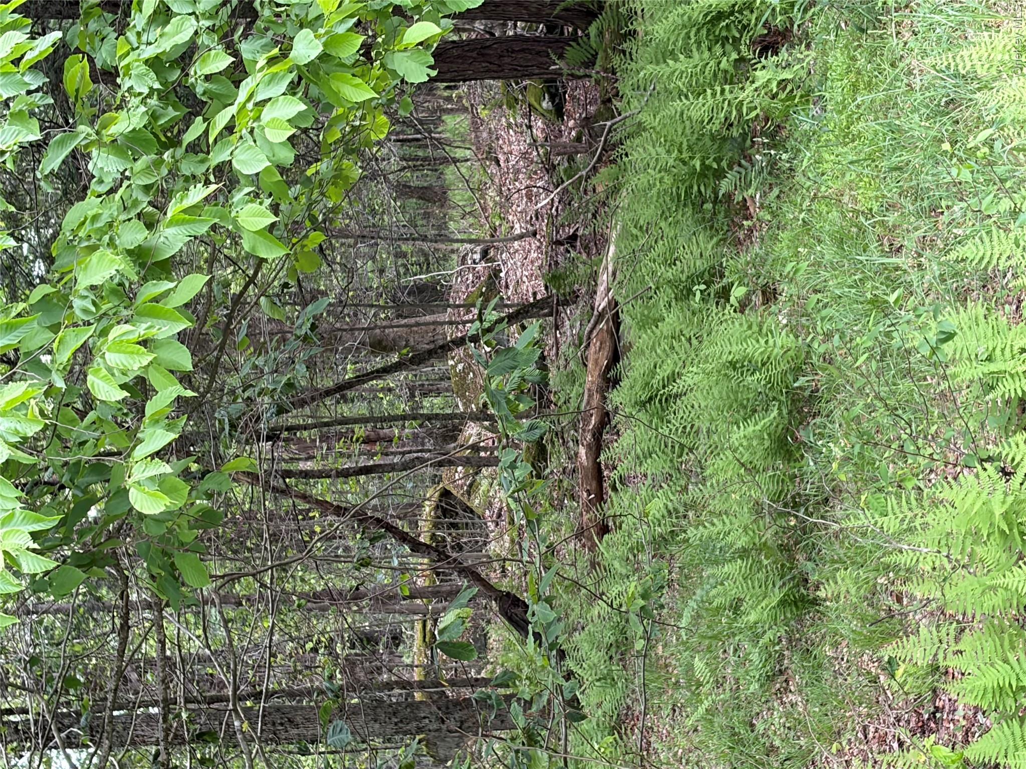 Creamery Creamery Road Property Photo 6