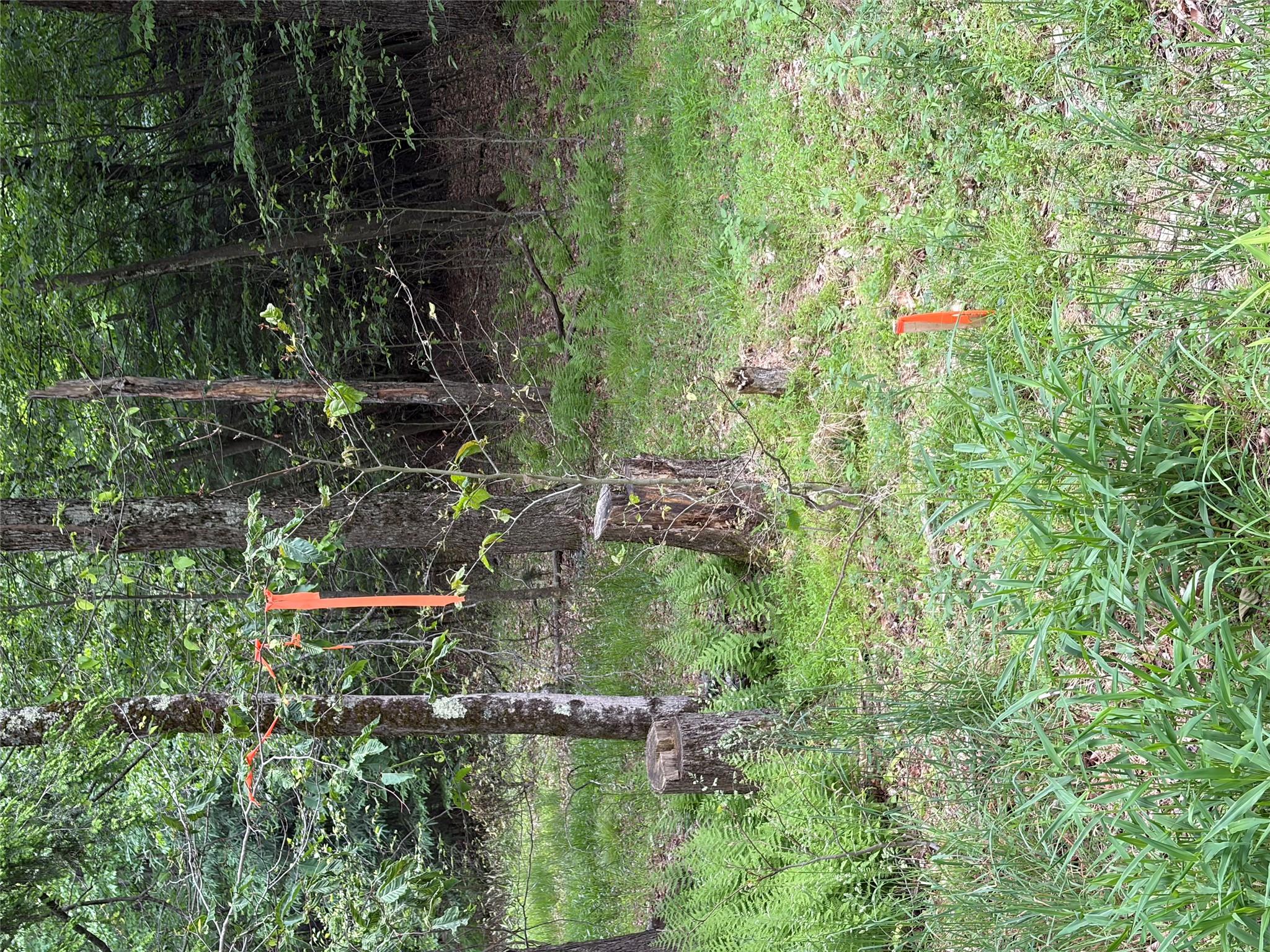 Creamery Creamery Road Property Photo 11