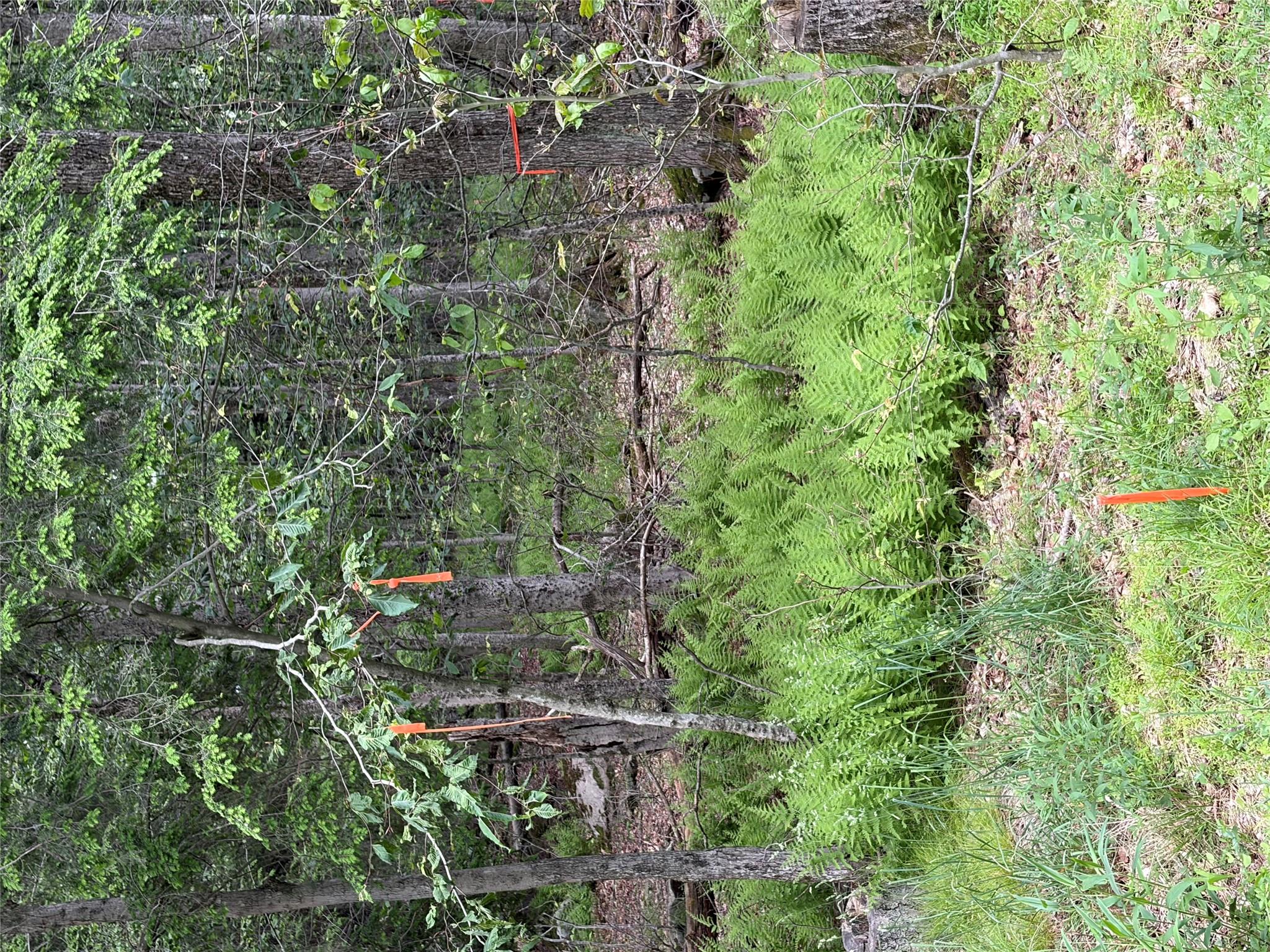 Creamery Creamery Road Property Photo 12
