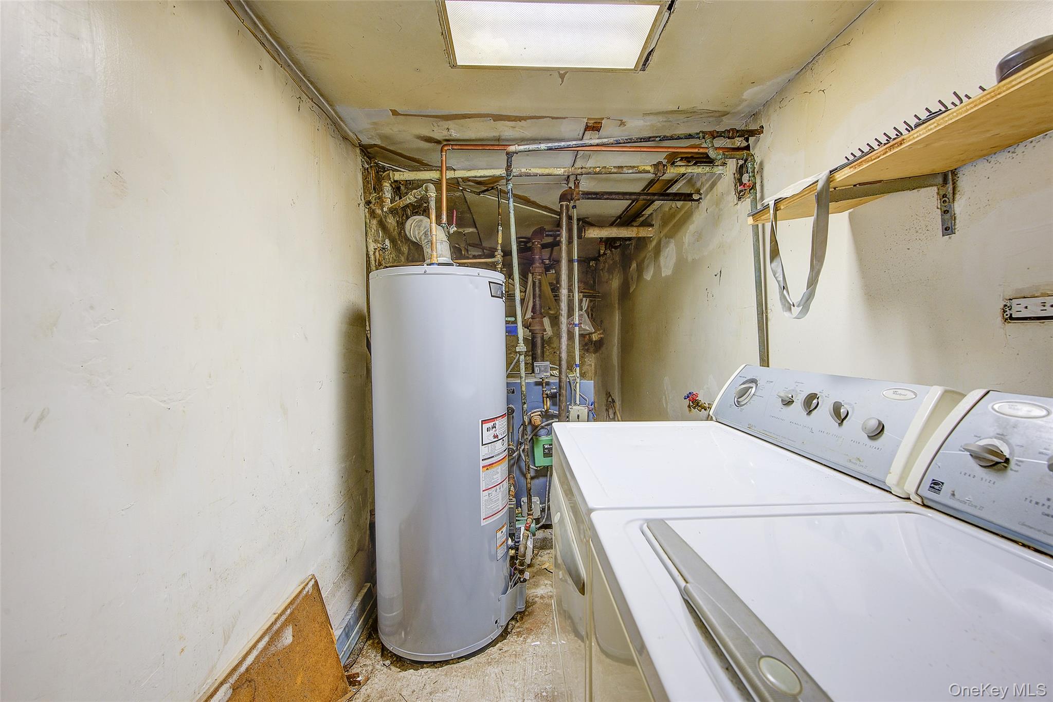 32-54 81st Street Property Photo 29