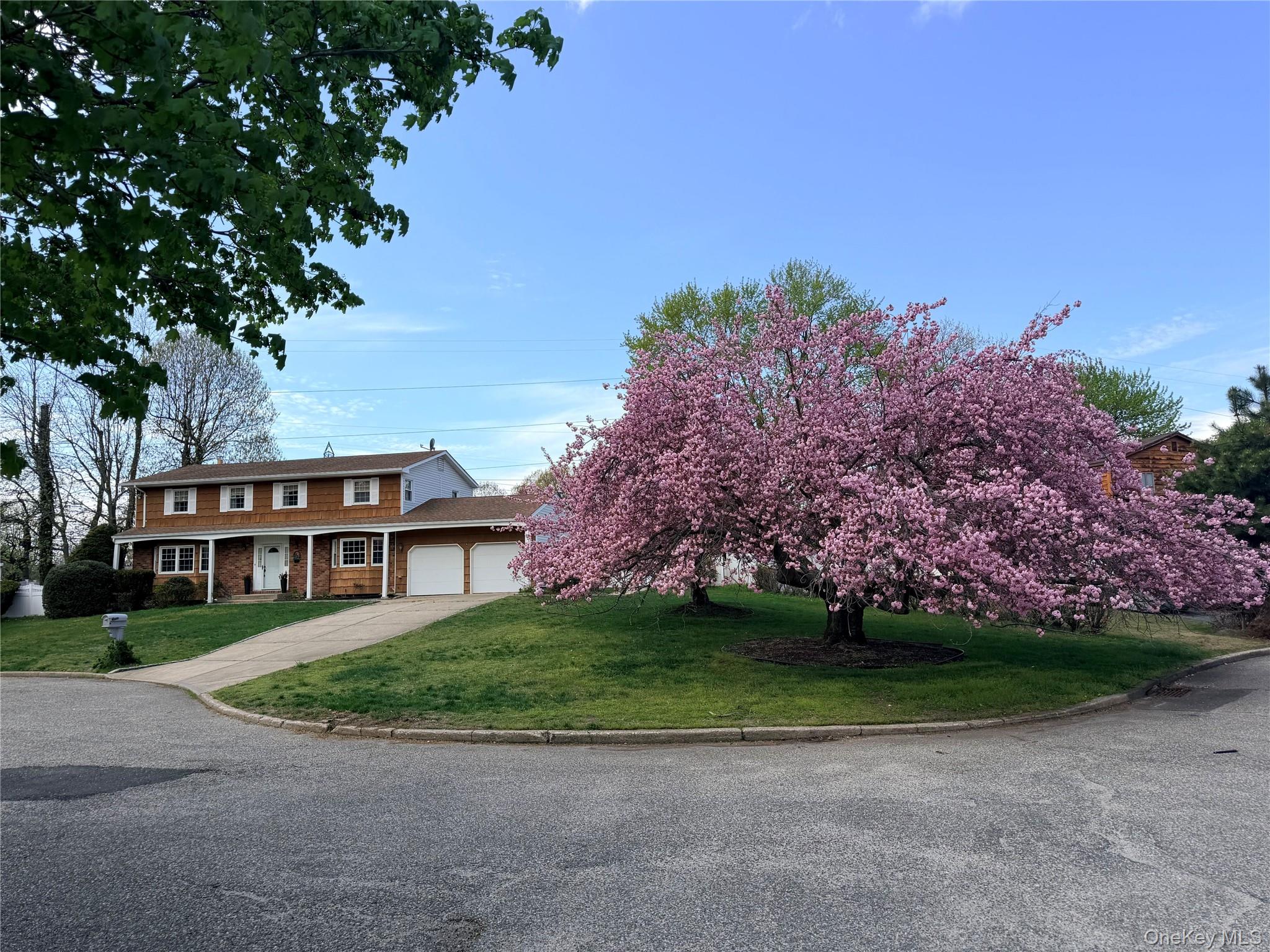 6 Carol Court Property Photo 35