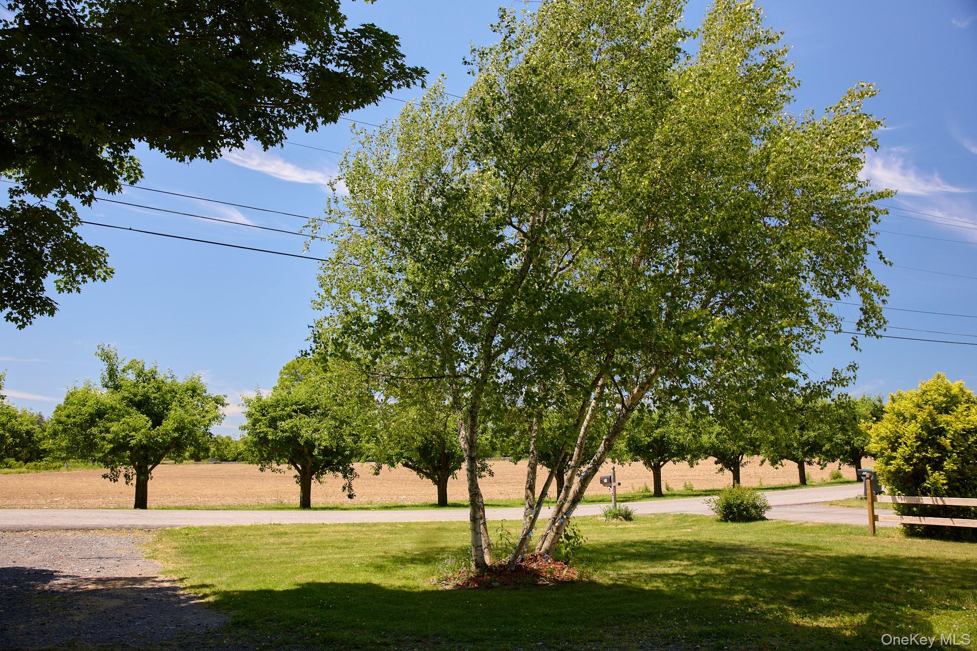 75 Brookside Road Property Photo 28