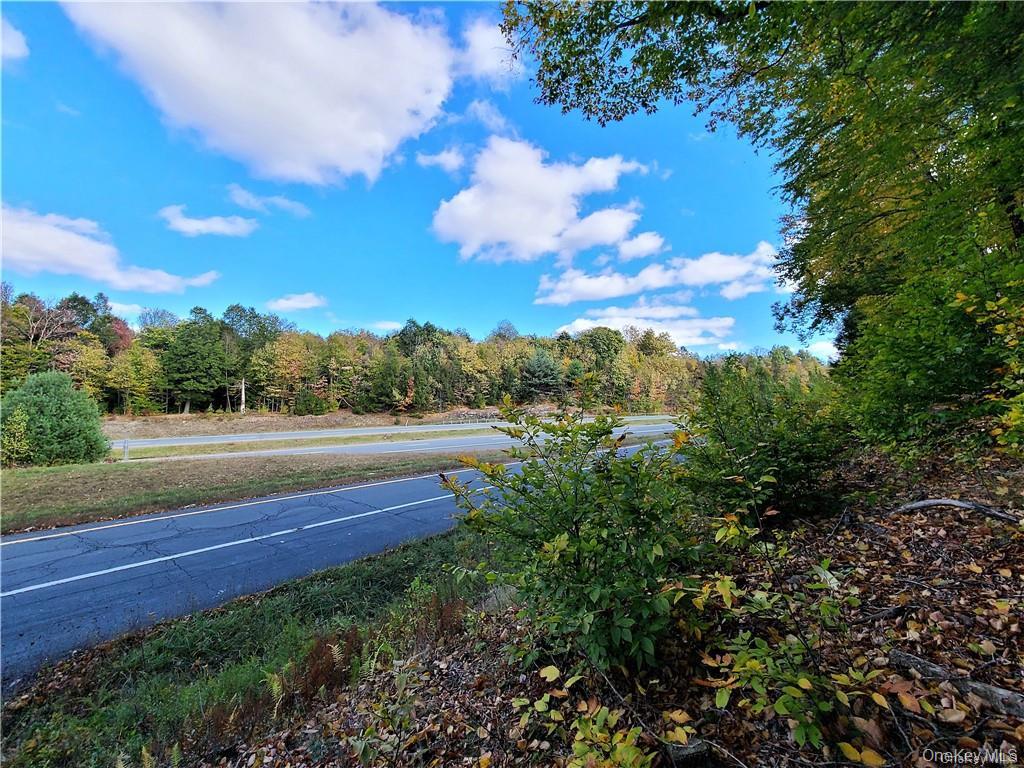 Lot 5.4 Kaufman Road Property Photo 7